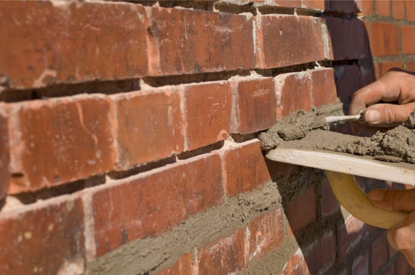 Renovation Services